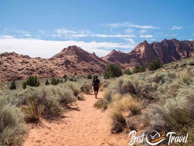 A hiker on the sandy track to the Wave.