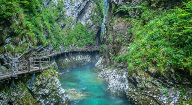 Deep in Vintgar Gorge