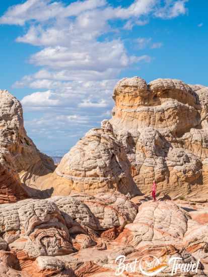 A woman on top of one of the White Pocket rocks.